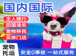 滋润航空快运国际宠物托运 【国
